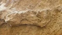 Hallaron en Sudáfrica la huella humana más antigua: tiene unos 153.000 años