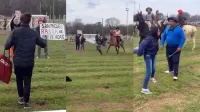 El momento en que jinetes echaron a rebencazos a proteccionistas que manifestaban contra el maltrato animal
