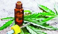 Confirman la eficacia del aceite de cannabis para tratamientos de epilepsia