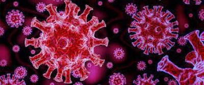 Descubrieron un mecanismo que bloquea al coronavirus: “Fuerte actividad antiviral”