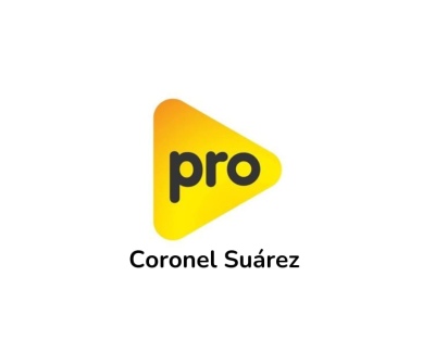 "El Pro Coronel Suárez no se presta a la utilización política de la educación"