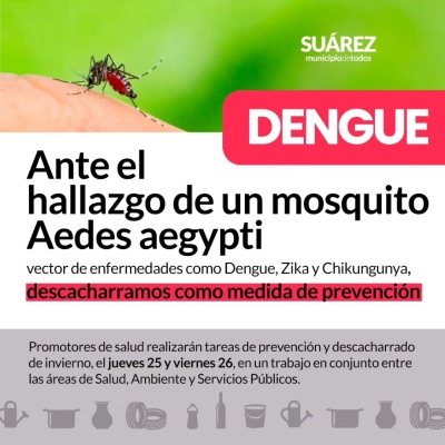 Empiezan a descacharrar ante el hallazgo de un mosquito Aedes aegypti vector de enfermedades como Dengue, Zika y Chikung