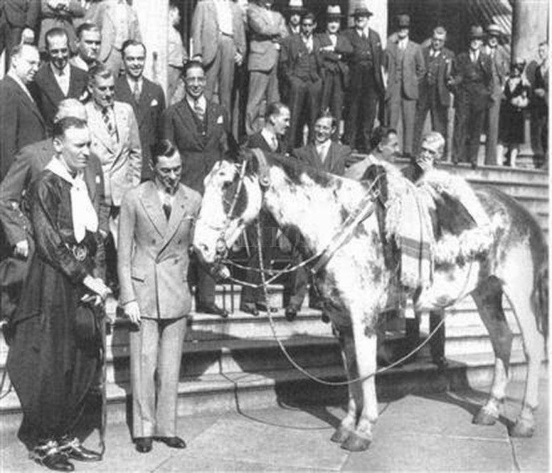 Día del Caballo: El viaje de Gato y Mancha, la travesía más importante del siglo XX