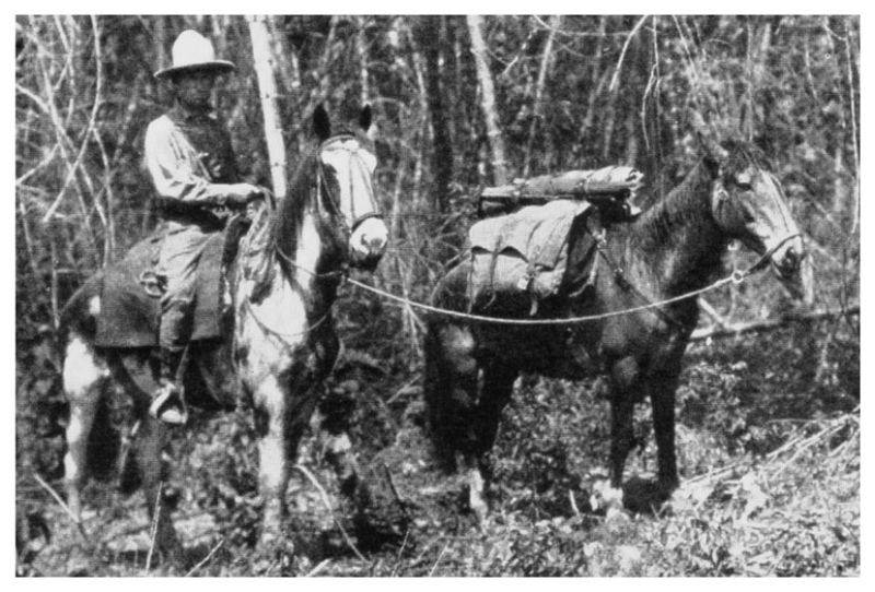 Día del Caballo: El viaje de Gato y Mancha, la travesía más importante del siglo XX