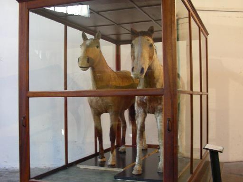 Día del Caballo: El viaje de Gato y Mancha, la travesía más importante del siglo XX
