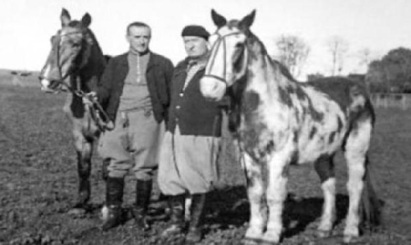 Día del Caballo: El viaje de Gato y Mancha, la travesía más importante del siglo XX