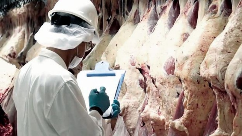El Gobierno limitó la exportación de siete cortes de carne por dos años