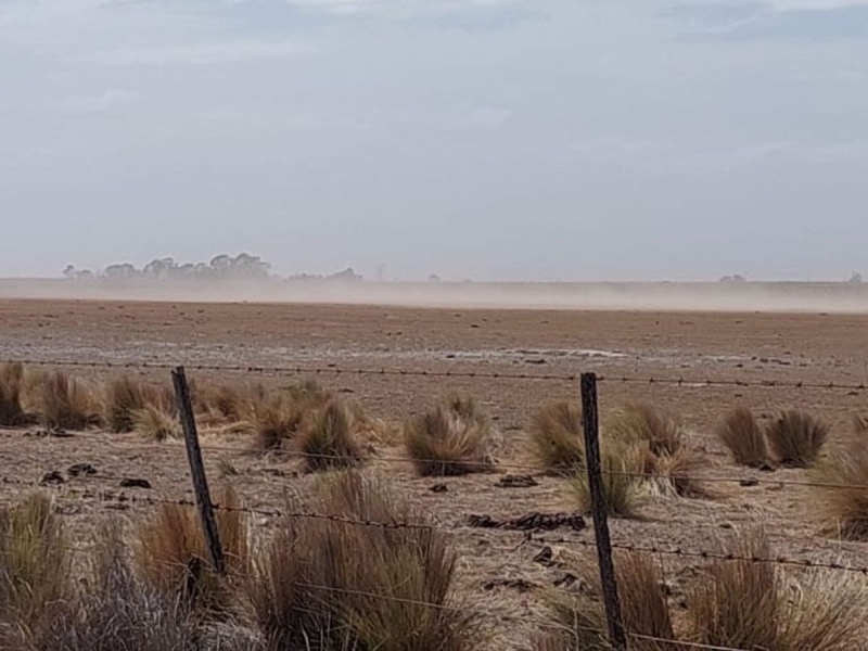 Sequía: declaran en Emergencia y Desastre Agropecuario en Patagones