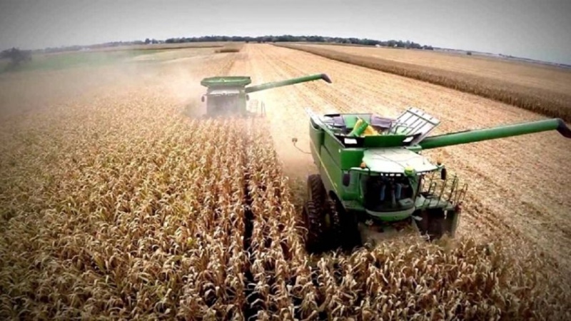 Posible intervención estatal en el mercado de granos: ”Quieren fundir al campo”