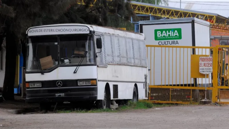 Maltrato animal: la fiscalía investiga una denuncia por muertes de gatos y perros en un móvil de castración en Bahía Blanca