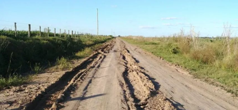 Caminos rurales: para el 88%, su pésimo estado se debe a la mala gestión gubernamental