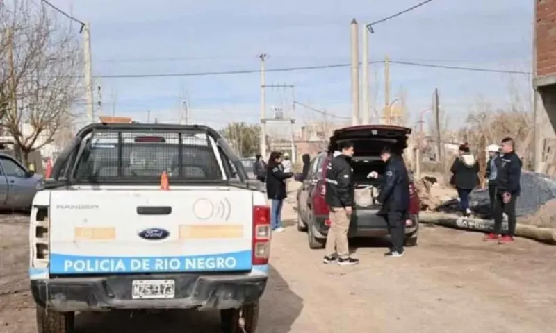 Conmoción en Cipolletti: hallaron los restos de un bebé comido por perros