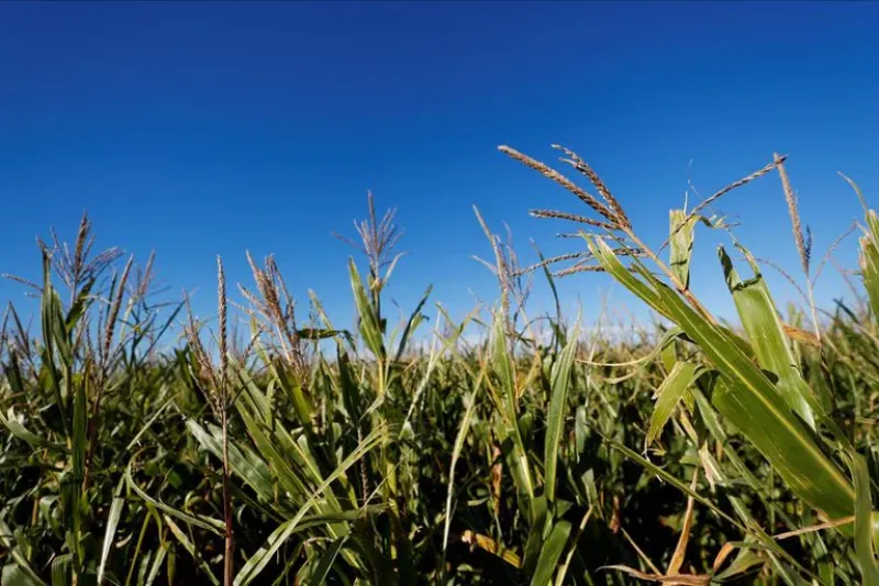 Un juez federal suspendió la aplicación de las retenciones al agro