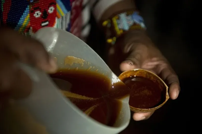 Ayahuasca. Un líquido extraído de plantas del Amazonas que está en estudio con fines terapeúticos.