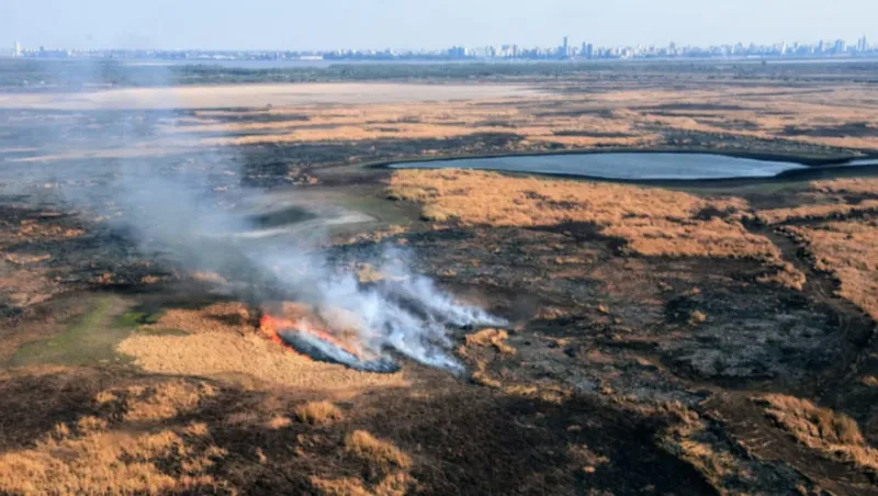 “Cuanto más vacas tengamos, menos incendios vamos a sufrir”