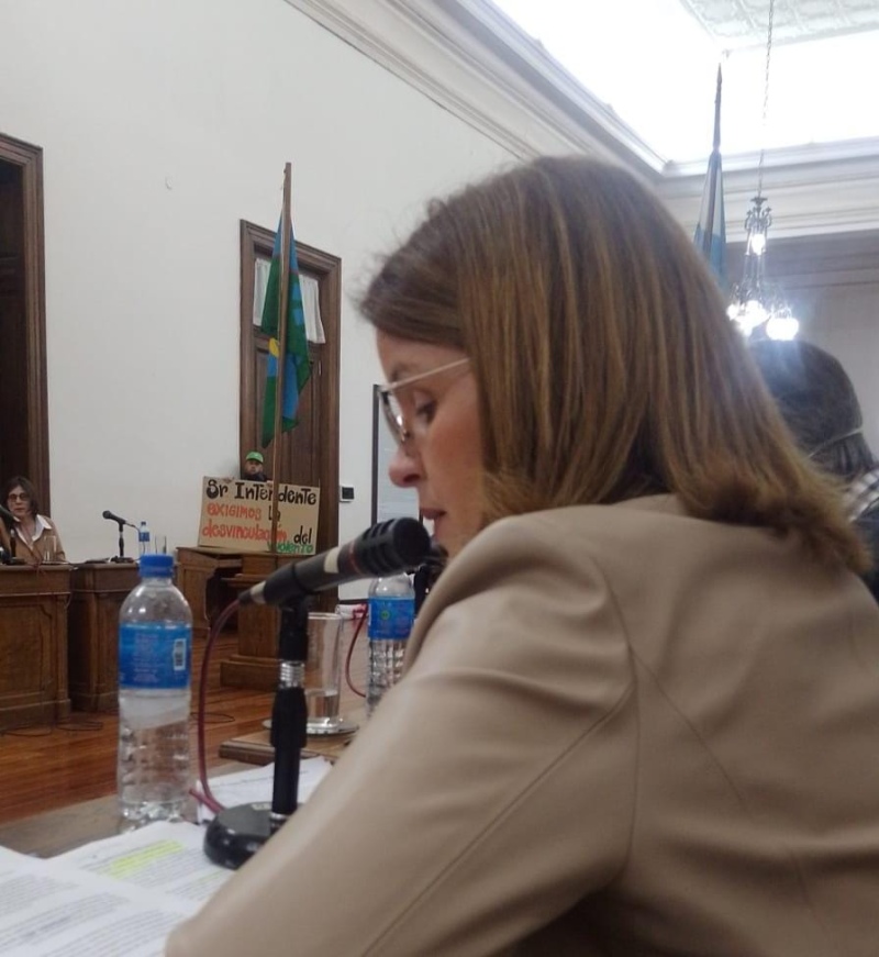 La concejal Fernández defendiendo su proyecto anoche