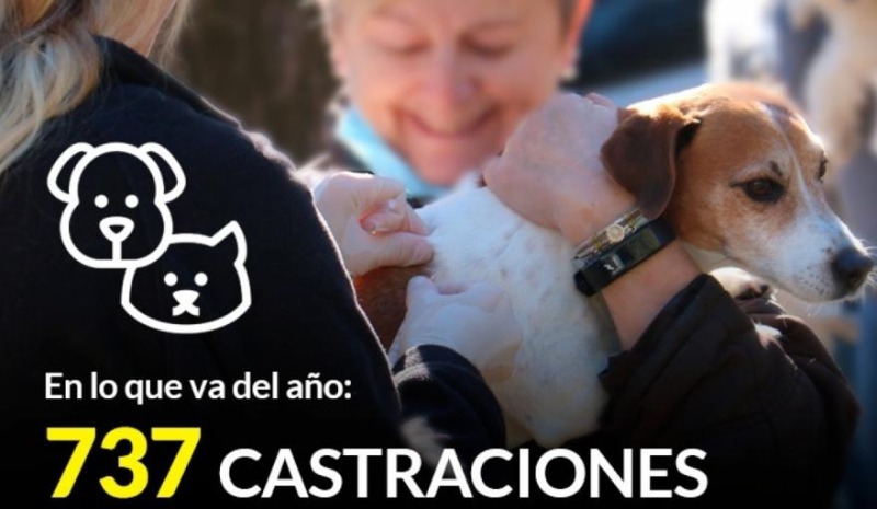 Castramóvil: En lo que va del año se realizaron 737 castraciones y aplicaron 450 dosis de vacunas antirrábicas