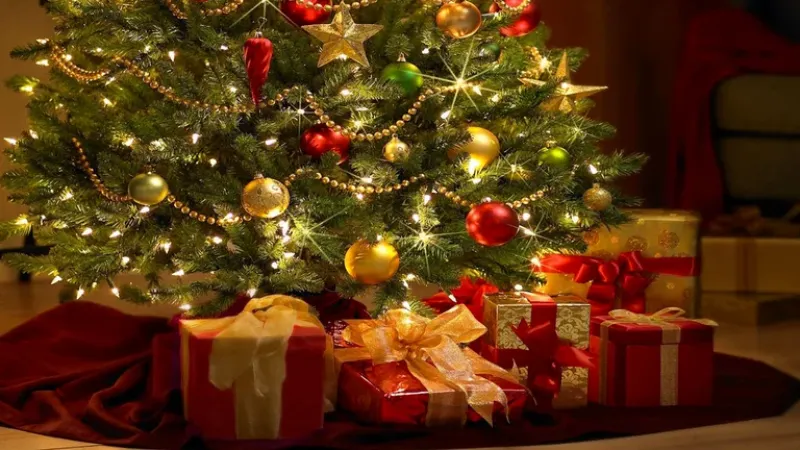 La navidad es una de las fechas más importantes en todo el mundo y es esperada por grandes y chicos
