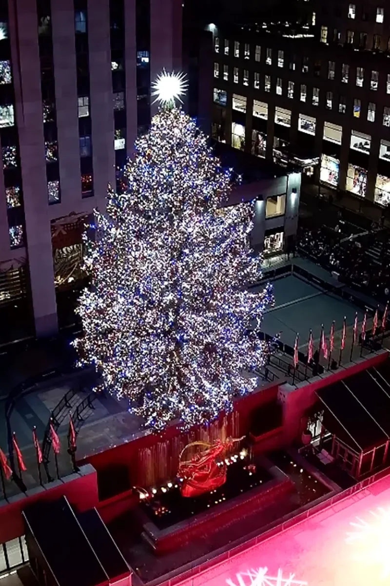 Este año mide casi 9 metros de altura, tiene 50.000 luces y una estrella Swarovski tridimensional, diseñada por el arquitecto Daniel Libeskind y cubierta con tres millones de cristales