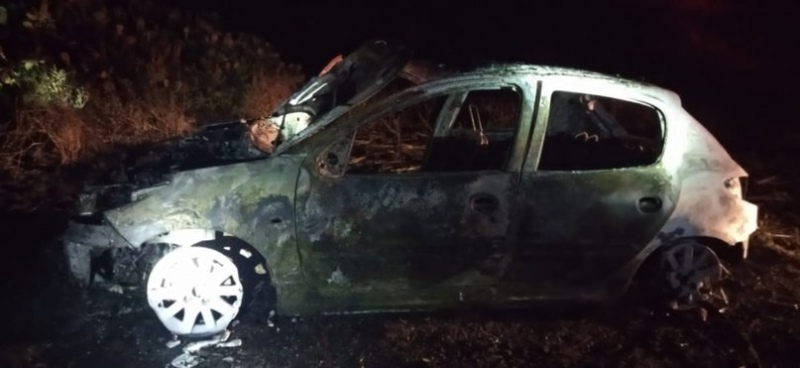 Se les cruzó un carpincho, lo chocaron y el auto se prendió fuego