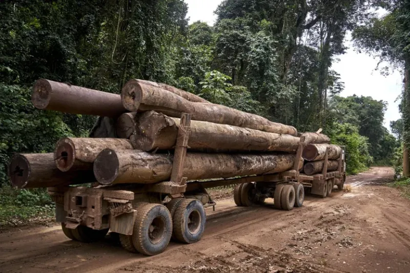 La deforestación del Amazonas reduce las precipitaciones en América del Sur