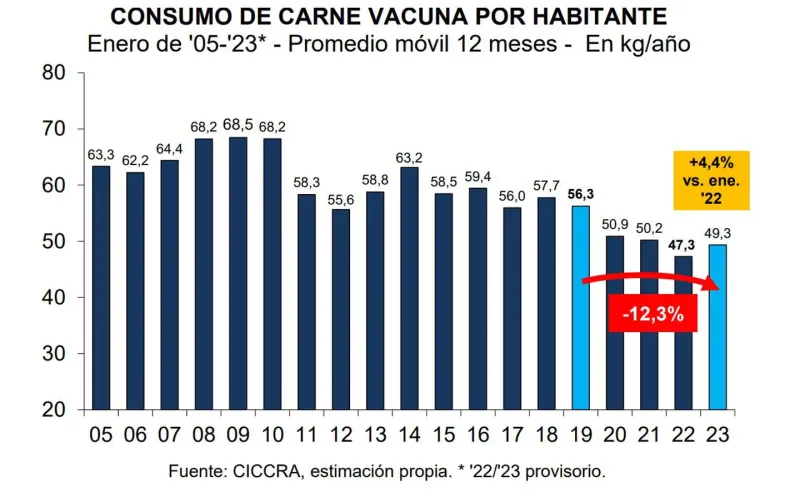 Por efecto de la inflación, un trabajador formal puede comprar 41 kilos menos de asado que hace tres años