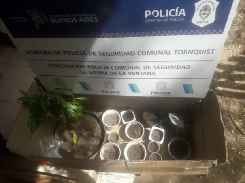 Piden condena para una mujer por venta de drogas en Sierra de la Ventana