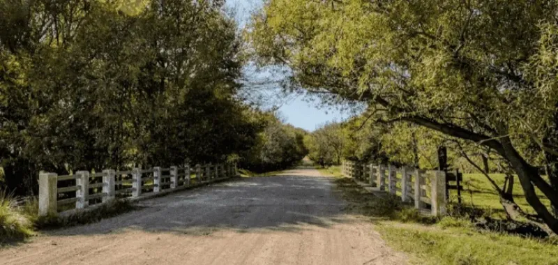 Disfruta de la naturaleza en Curamalal.