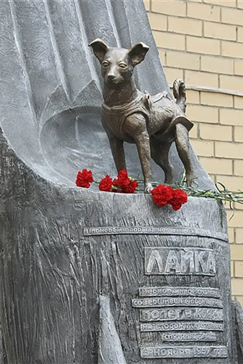 El monumento a Laika en Moscú, al que nunca le faltan flores