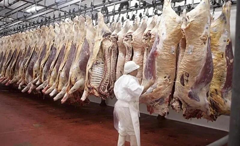 En el inicio del 2023, la carne vacuna registró un importante aumento