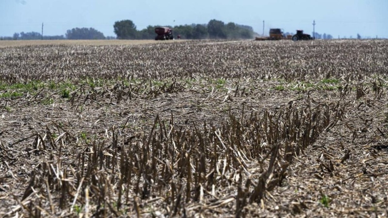 Kicillof prorroga la emergencia agropecuaria por sequía en la provincia de Buenos Aires