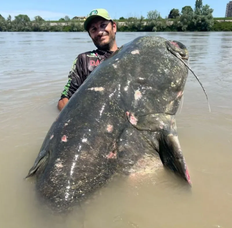 EL PESCADOR DECIDIÓ NO PESAR EL PEZ ANTES DE DEVOLVERLO AL RÍO PARA EVITAR QUE SUFRIERA MÁS ESTRÉS. FOTO: ALESSANDRO BIANCARDI