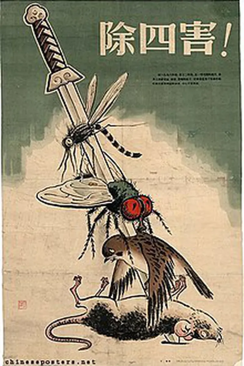 Un afiche de la ”Campaña de las cuatro plagas” contra los mosquitos, las moscas, los gorriones y las ratas