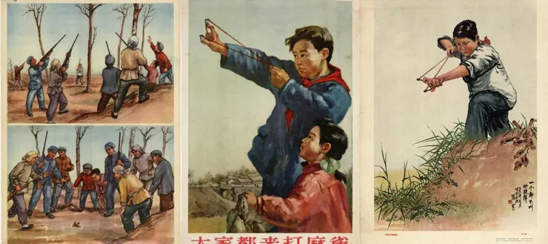 Distintas ilustraciones sobre el combate de los chinos contra los gorriones