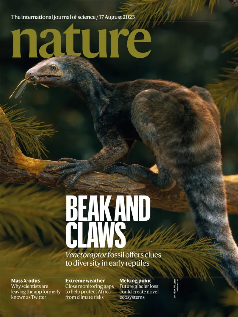 La tapa de Nature del 16 de agosto destaca el hallazgo de Venetoraptor. Es una de las más prestigiosas revistas científicas a nivel mundial. Fue fundada en 1869/Nature
