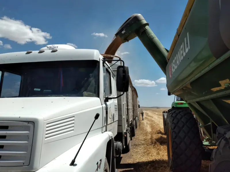 La escasez de combustible se convirtió en un problema más para el campo. La situación impacta en todo el país, desde CARBAP pidieron una rápida solución al Gobierno nacional. (Foto: TN).