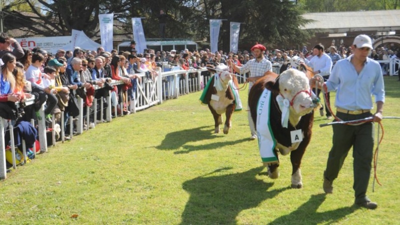 Se viene la 104ª Exposición Rural de Coronel Suárez