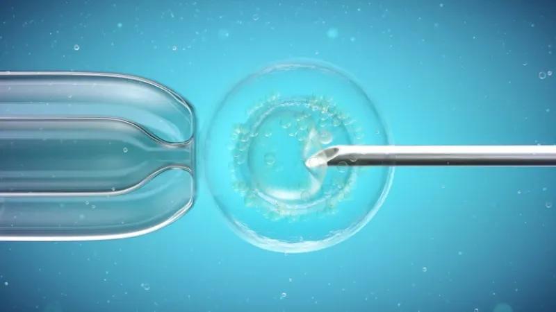 Le hicieron tres tratamientos de fertilidad de alta complejidad