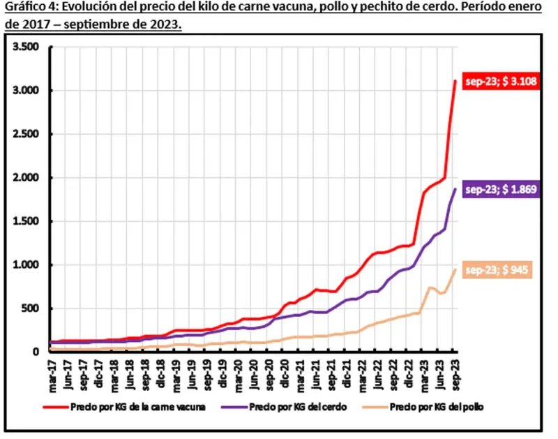 En los últimos 6 años y 9 meses, el valor promedio de un kilo de carne aumentó un 2726,3%, (Foto: INECO/UADE)