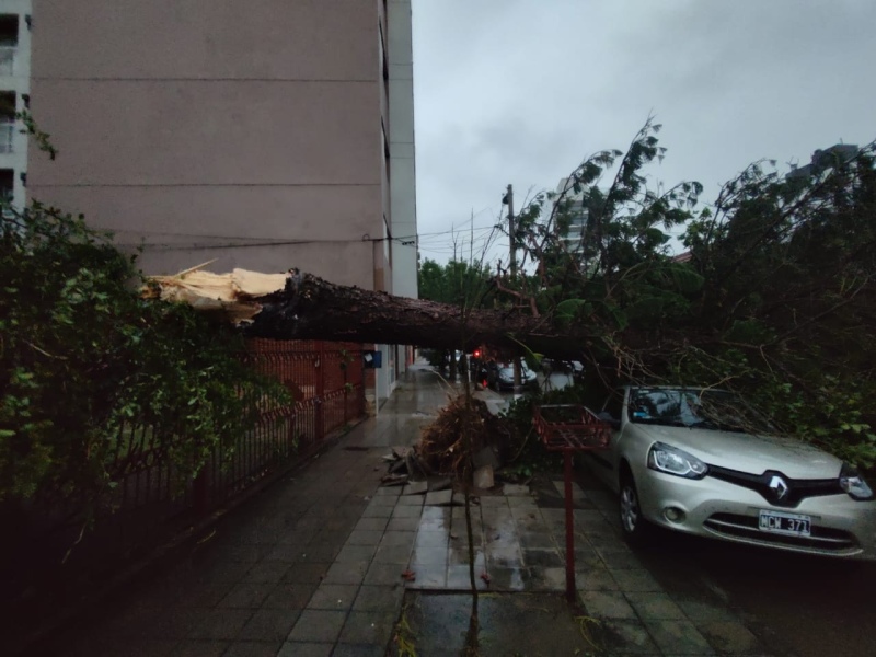 Catastrófico temporal azotó a Bahía Blanca con vientos de hasta 150 km.