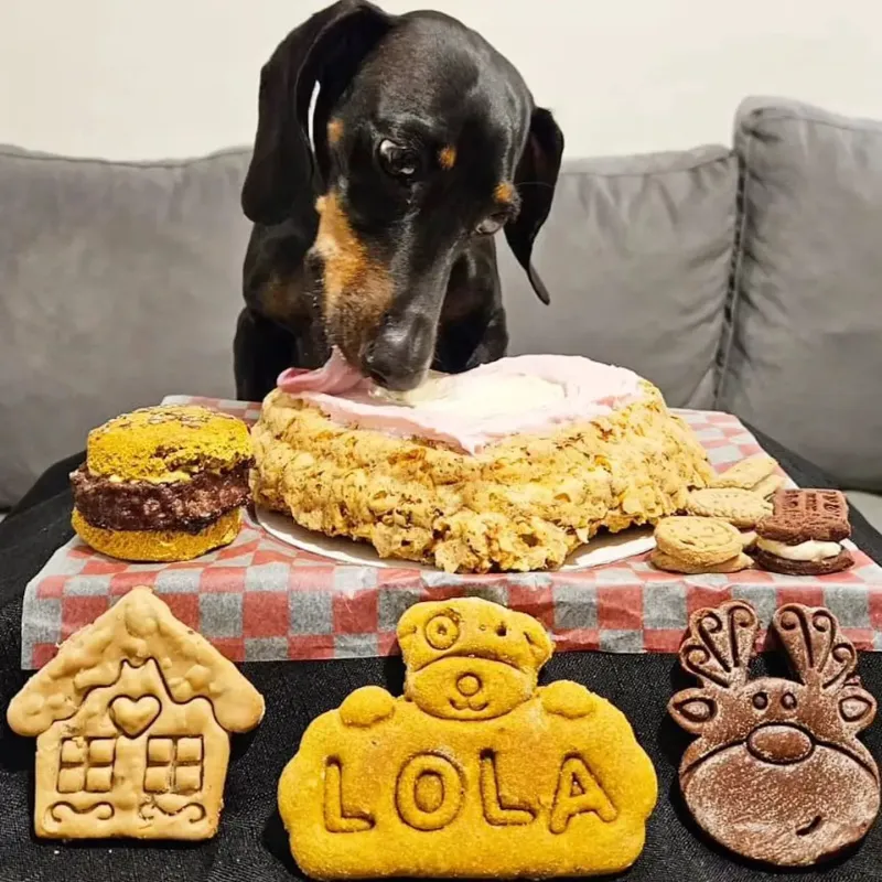 Hay decenas de productos de todo tipo para las mascotas. (Foto: Instagram @chumbis.ok)