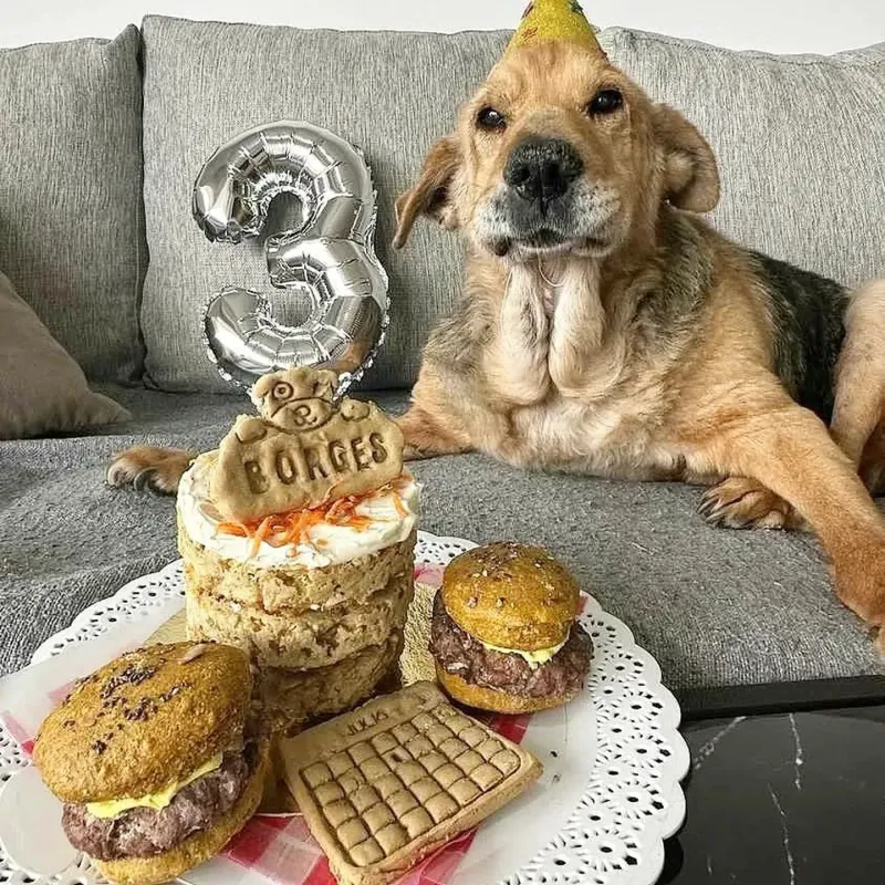 La ”cajita Chumbis feliz” para mascotas. (Foto: Instagram @chumbis.ok)