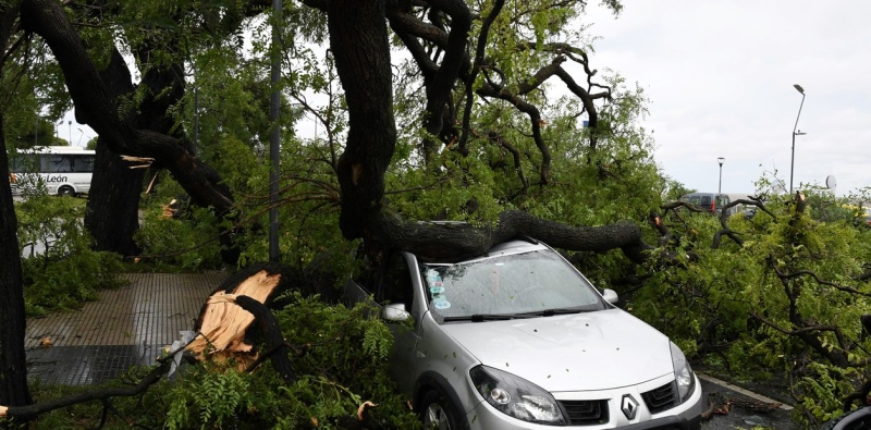 Un auto aplastado por el tronco de un árbol en la zona de Aeroparque. 
