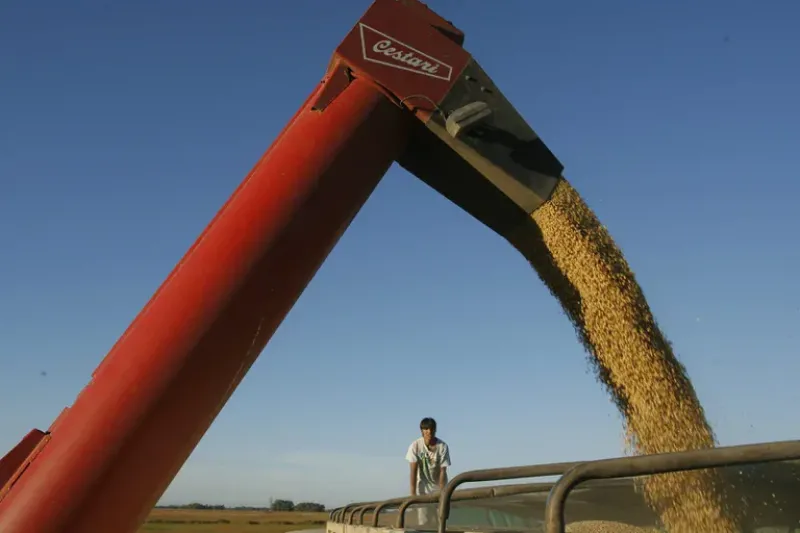 Un productor agropecuario controla la carga de semillas de soja en la localidad de Olivera, a unos 100 kilómetros de Buenos Aires, en una fotografía de archivo. EFE/Cézaro De Luca