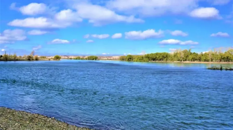 Una mujer murió ahogada cuando intentaba rescatar a su hijo de seis años que cayó a un canal de riego en Neuquén.