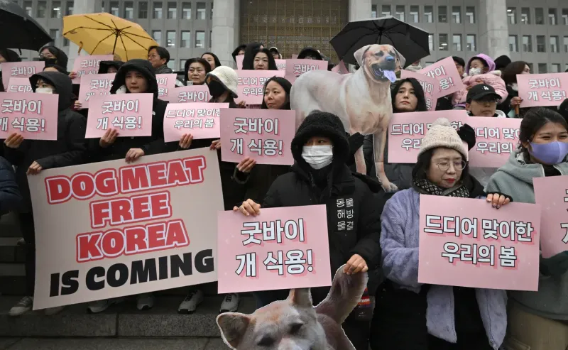 Activistas sostienen pancartas que dicen ”¡Adiós a la carne de perro!” frente a la Asamblea Nacional de Seúl. (Foto: AFP/Jung Yeon-je).