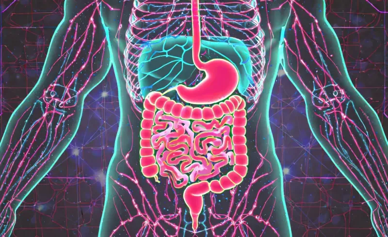  El especialista explicó que la idea vertebral de la Medicina Funcional es milenaria, “ya lo dijo Hipócrates hace 2300 años, el intestino puede ser fuente de enfermedades” (Imagen Ilustrativa Infobae)