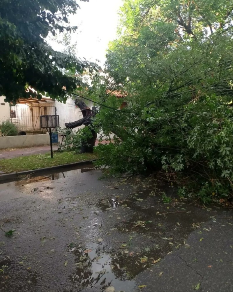 Las impactantes imágenes del fuerte temporal en Miramar