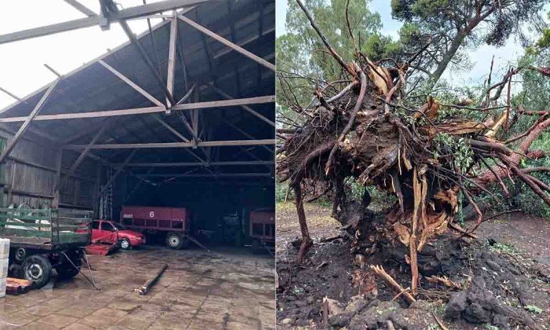 Un temporal de viento y granizo causó daños en Coronel Pringles