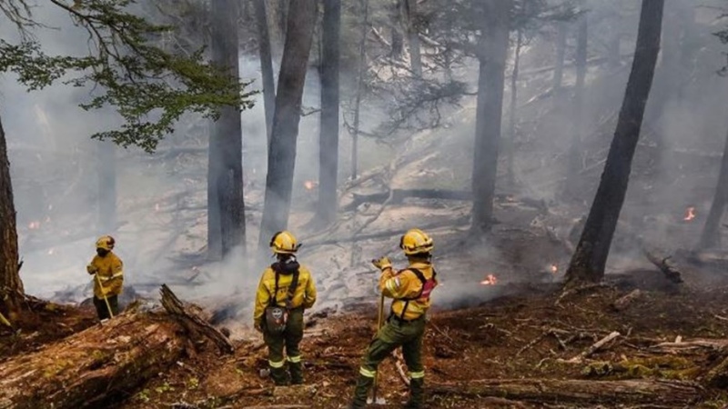 El fuego en el Parque Nacional Los Alerces ya arrasó con 2.300 hectáreas de bosque nativo